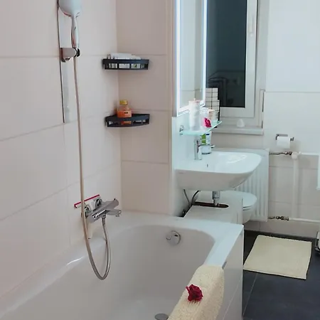 Am Spitzgrund Apartment Coswig (Saxony)